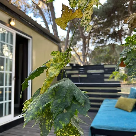Eco-Friendly Beach House Sesimbra Extérieur photo