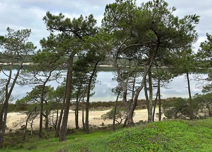 Eco-Friendly Beach House