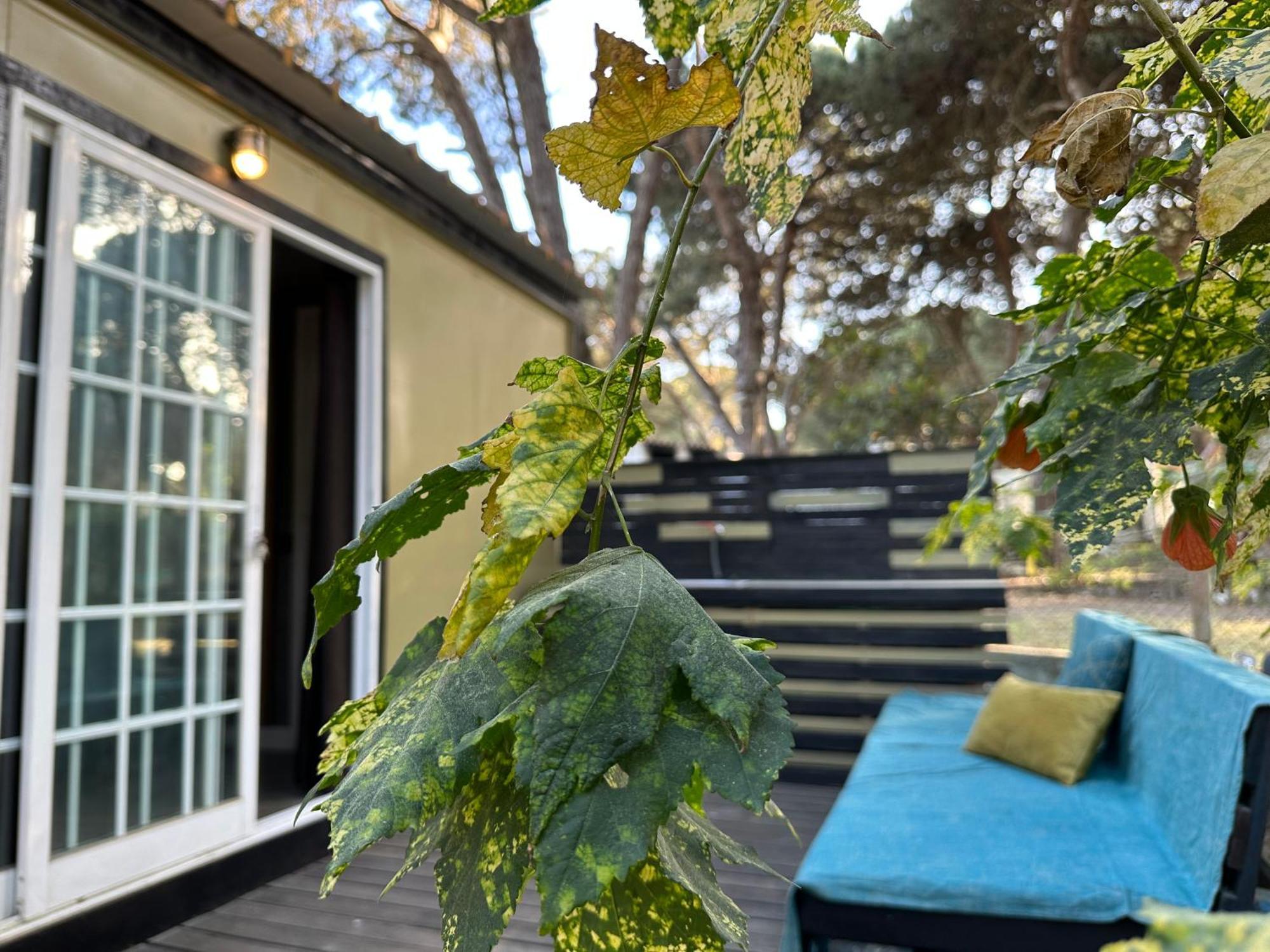 Eco-friendly House Luxuszelt Sesimbra