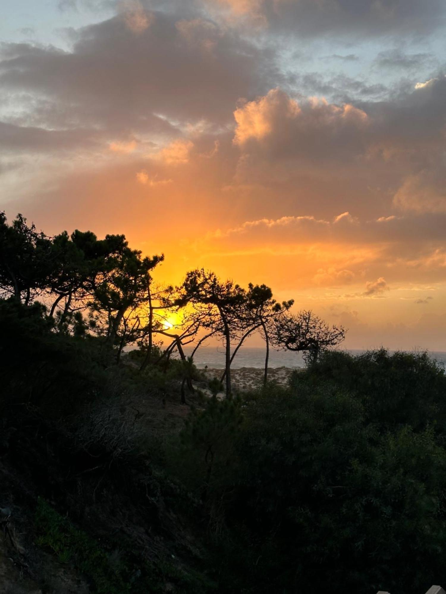 Eco-friendly House Sesimbra